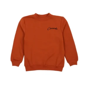 Carsicko Tiger Orange Jersey